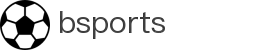 Bsports·必一(中国)体育-官方网站