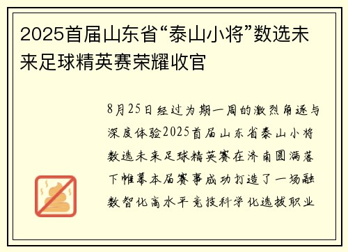 2025首届山东省“泰山小将”数选未来足球精英赛荣耀收官