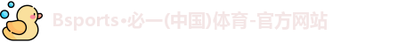 BSPORTS必一运动